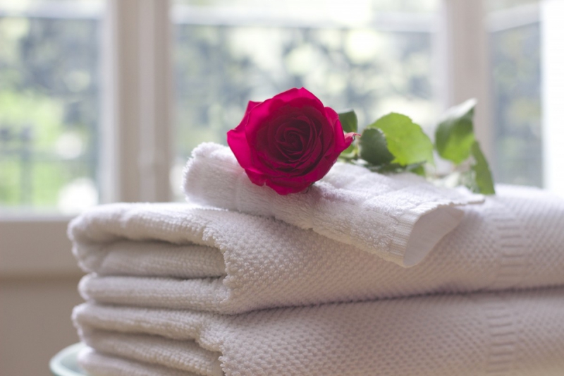 hotel-FLASSANS SUR ISSOLE-min_towel_rose_clean_care_salon_spa_white_bath-731641